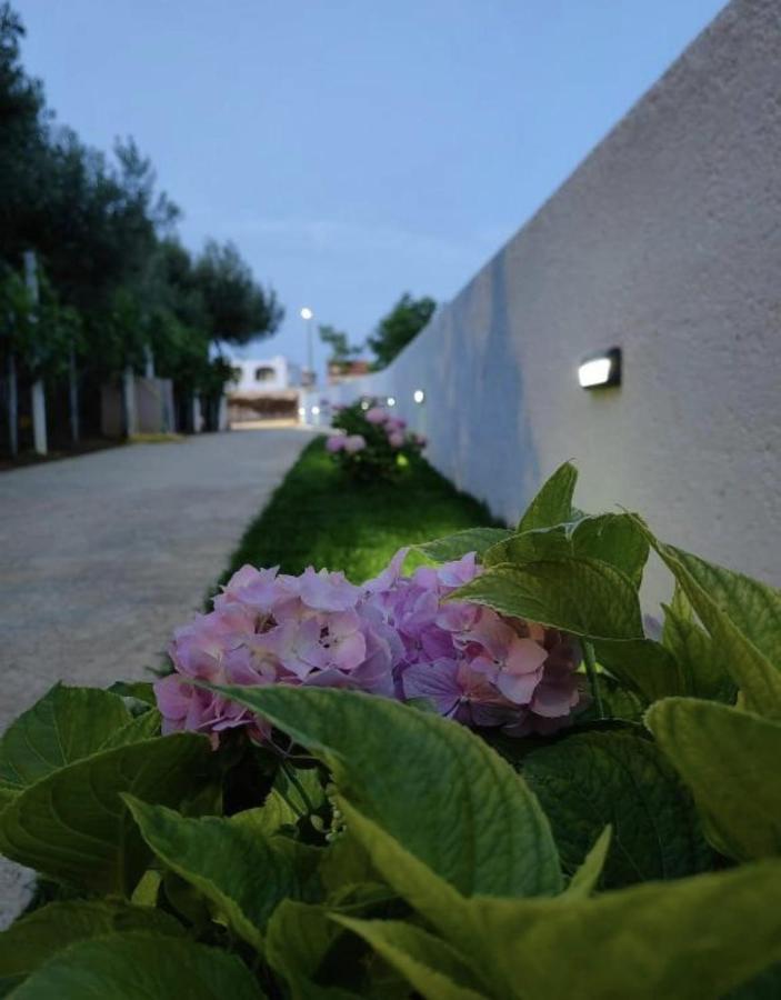 Apartment 4Reasons Ražanac المظهر الخارجي الصورة